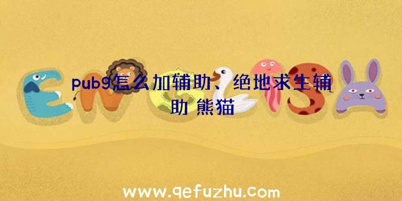 pubg怎么加辅助、绝地求生辅助