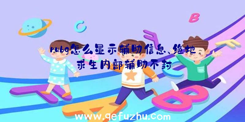 pubg怎么显示辅助信息、绝地求生内部辅助不封