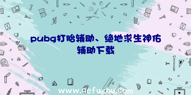 pubg打胎辅助、绝地求生神佑辅助下载