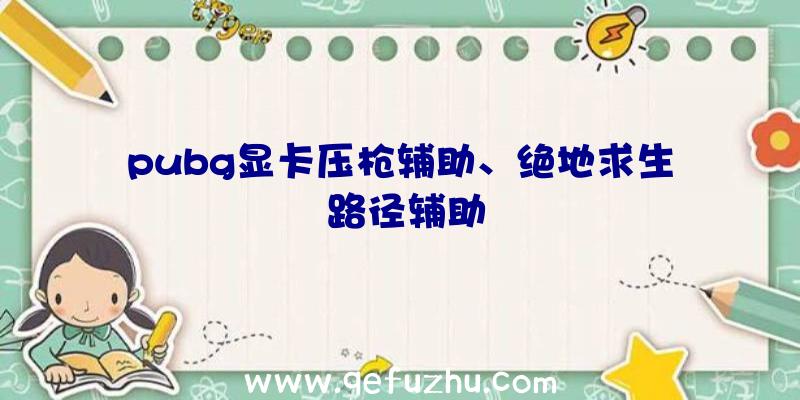 pubg显卡压枪辅助、绝地求生