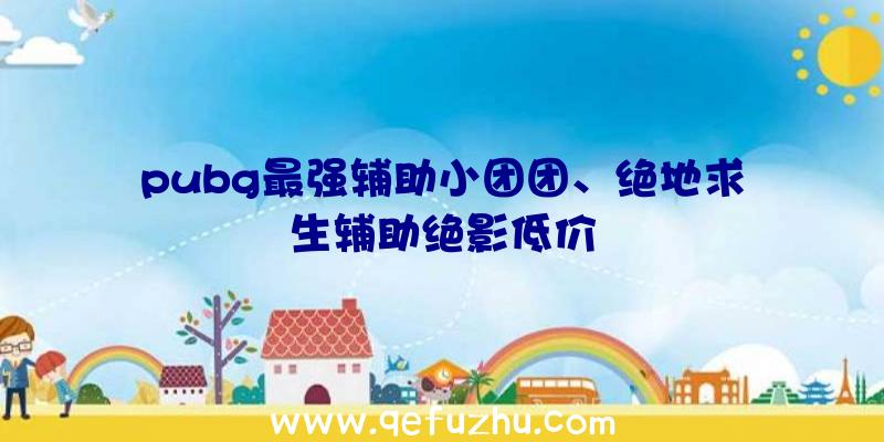 pubg最强辅助小团团、绝地求生辅助绝影低价