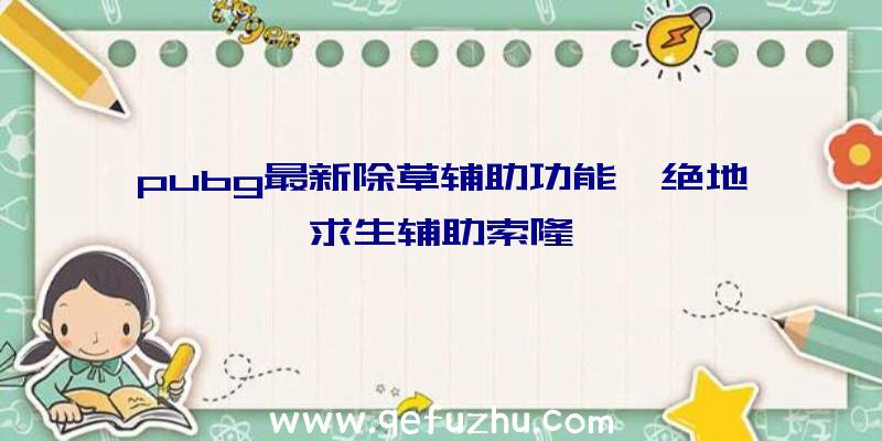 pubg最新除草辅助功能、绝地求生辅助索隆