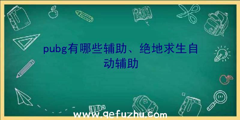 pubg有哪些辅助、绝地求生自动辅助