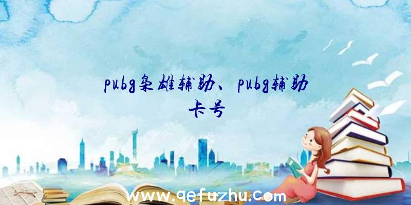 pubg枭雄辅助、pubg辅助卡号