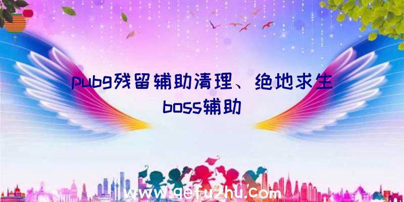 pubg残留辅助清理、绝地求生boss辅助