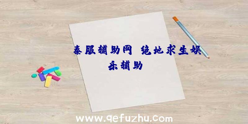 pubg泰服辅助网、绝地求生娱乐辅助