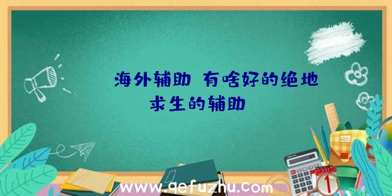 pubg海外辅助、有啥好的绝地求生的辅助