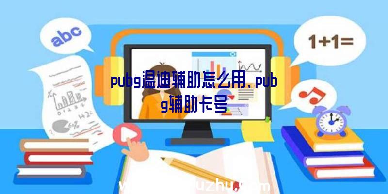 pubg温迪辅助怎么用、pubg辅助卡号