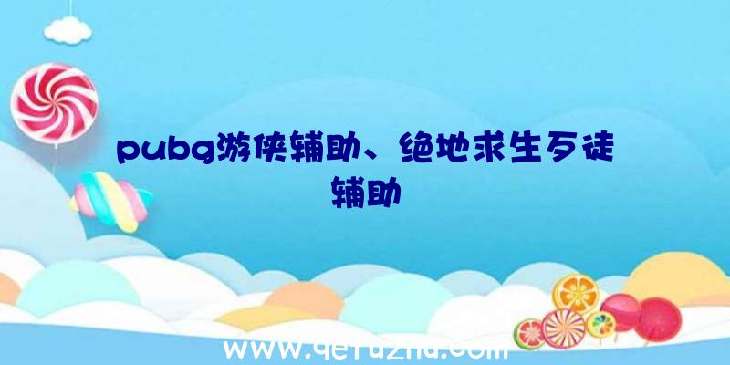 pubg游侠辅助、绝地求生歹徒辅助