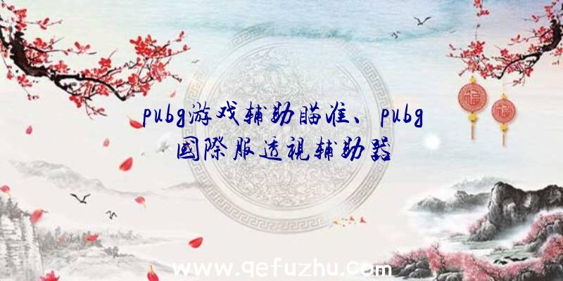 pubg游戏辅助瞄准、pubg国际服透视辅助器