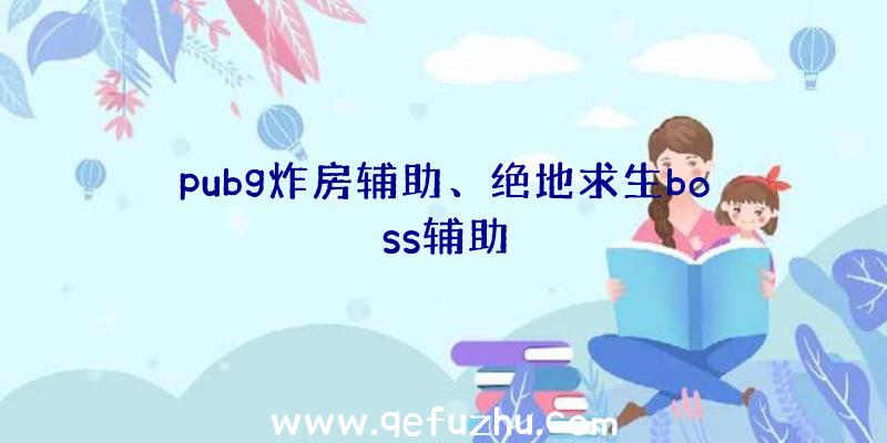 pubg炸房辅助、绝地求生boss辅助