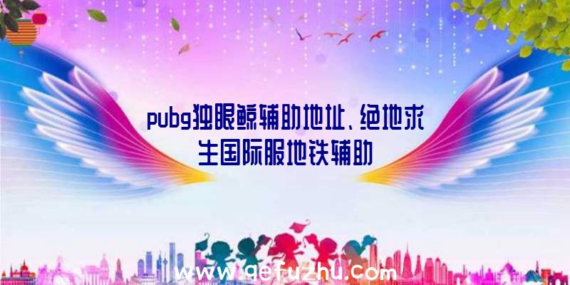 pubg独眼鲸辅助地址、绝地求生国际服地铁辅助