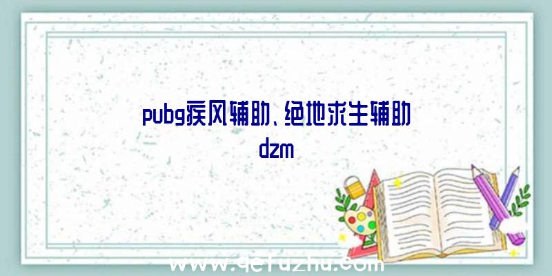 pubg疾风辅助、绝地求生辅助dzm