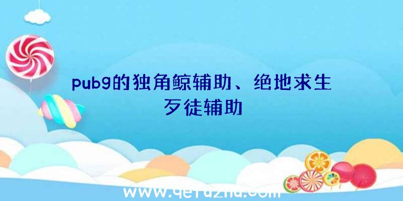 pubg的独角鲸辅助、绝地求生歹徒辅助