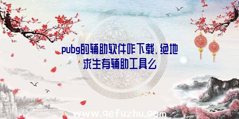 pubg的辅助软件咋下载、绝地求生有辅助工具么