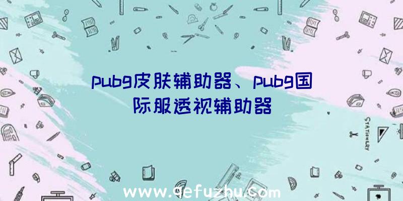 pubg皮肤辅助器、pubg国际服透视辅助器