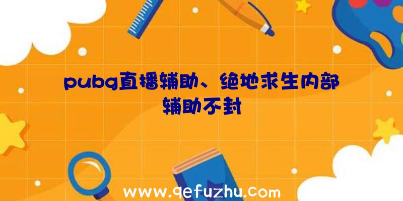 pubg直播辅助、绝地求生内部辅助不封