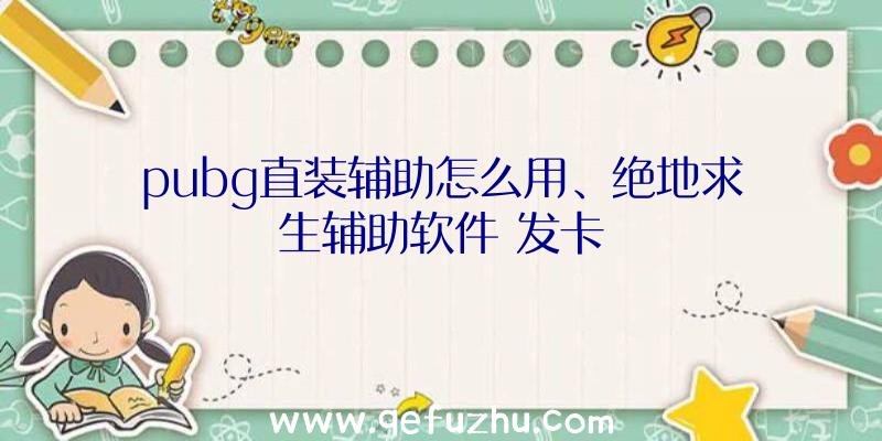 pubg直装辅助怎么用、绝地求生辅助软件