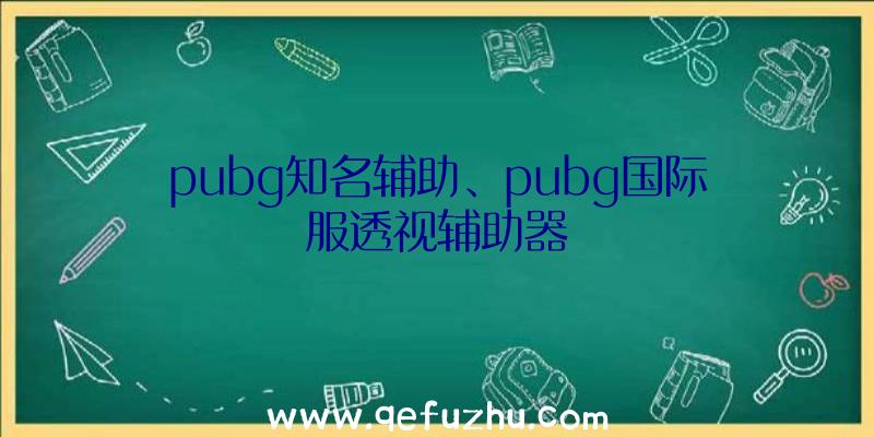 pubg知名辅助、pubg国际服透视辅助器