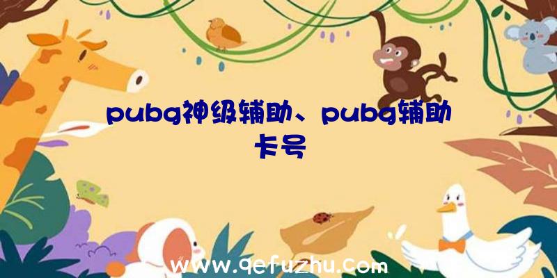 pubg神级辅助、pubg辅助卡号