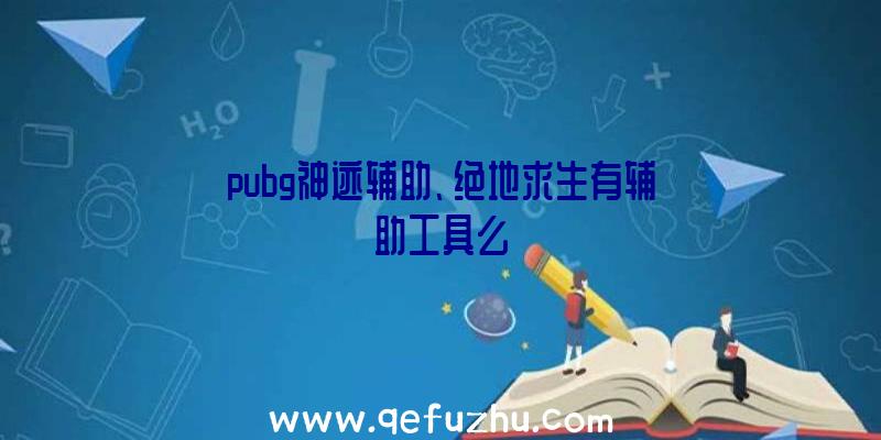 pubg神迹辅助、绝地求生有辅助工具么