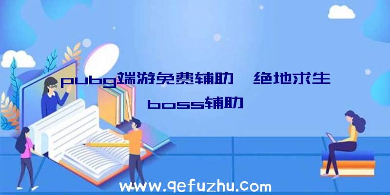 pubg端游免费辅助、绝地求生boss辅助