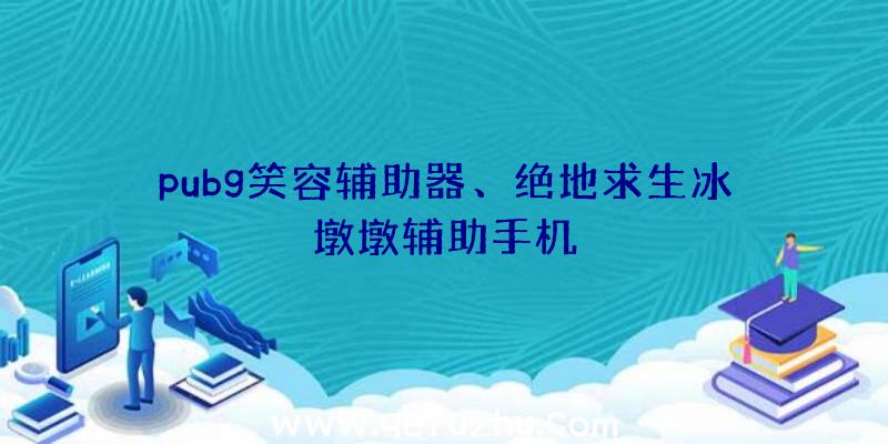 pubg笑容辅助器、绝地求生冰墩墩辅助手机