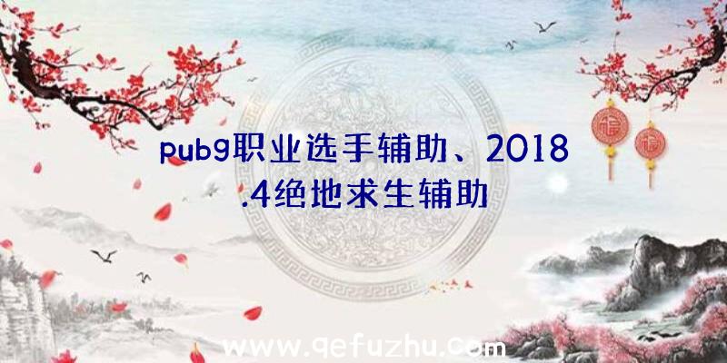 pubg职业选手辅助、2018.4绝地求生辅助