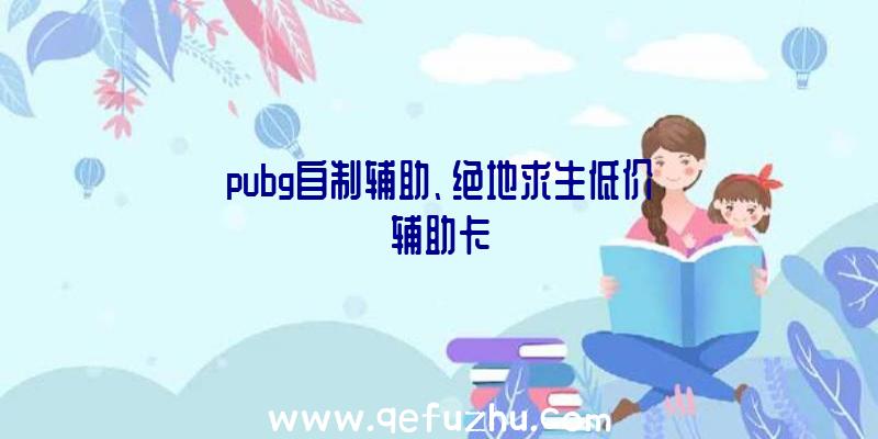 pubg自制辅助、绝地求生低价辅助卡