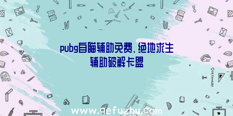 pubg自瞄辅助免费、绝地求生辅助破解卡盟