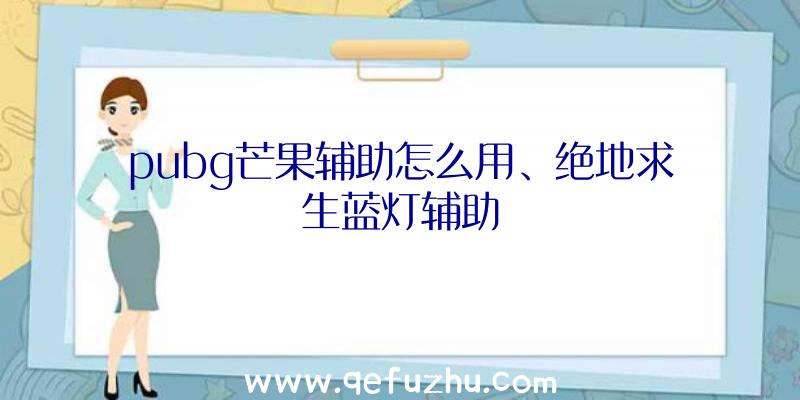 pubg芒果辅助怎么用、绝地求生蓝灯辅助