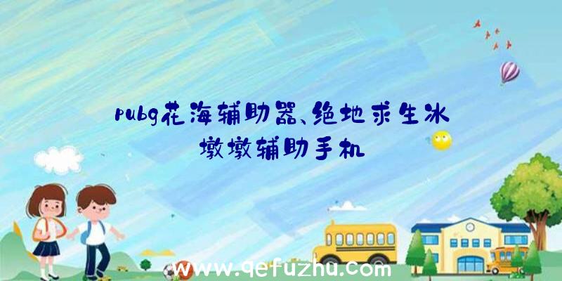 pubg花海辅助器、绝地求生冰墩墩辅助手机