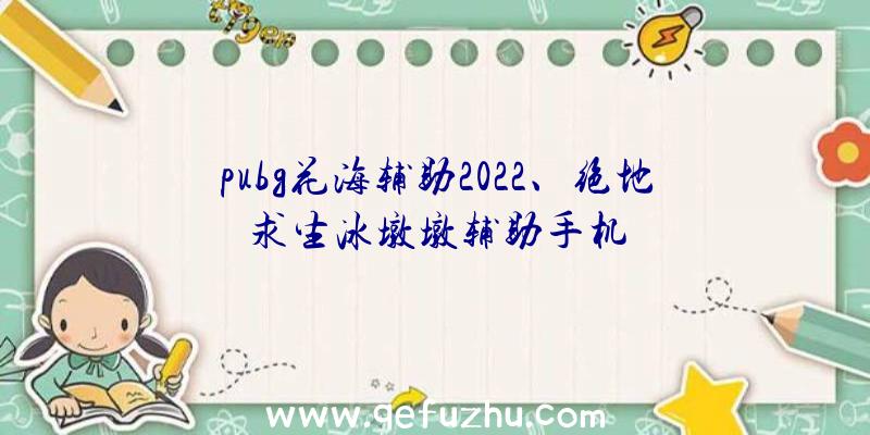 pubg花海辅助2022、绝地求生冰墩墩辅助手机