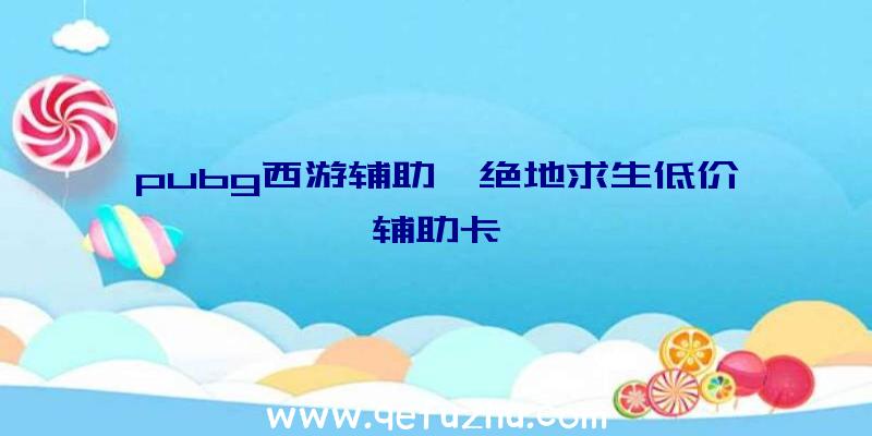 pubg西游辅助、绝地求生低价辅助卡