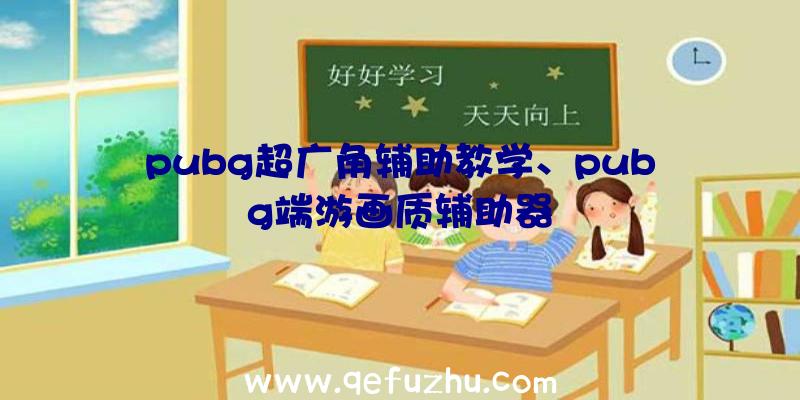 pubg超广角辅助教学、pubg端游画质辅助器