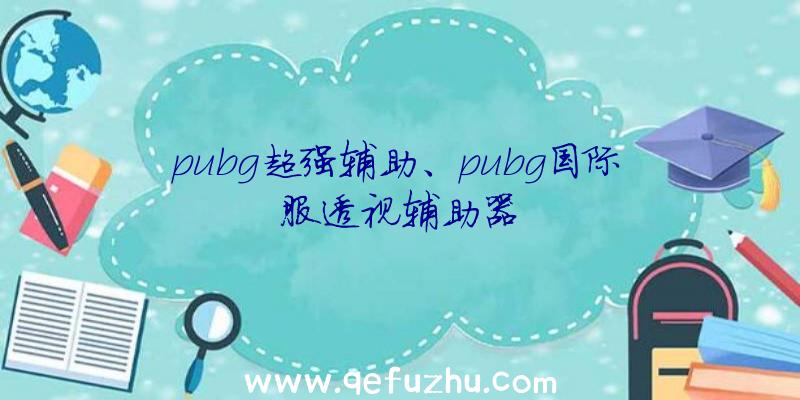 pubg超强辅助、pubg国际服透视辅助器