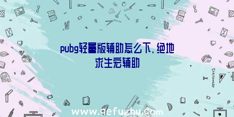 pubg轻量版辅助怎么下、绝地求生宏辅助