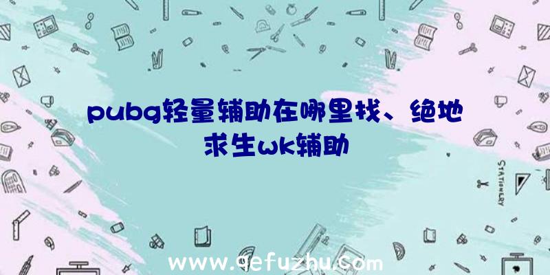 pubg轻量辅助在哪里找、绝地求生wk辅助