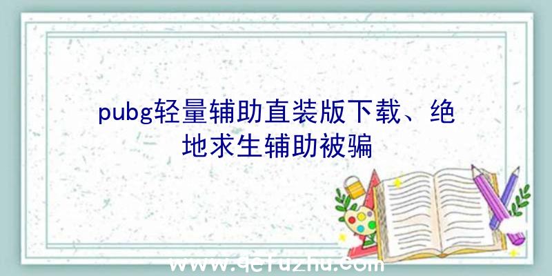 pubg轻量辅助直装版下载、绝地求生辅助被骗