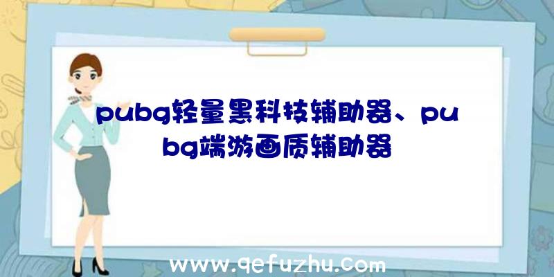 pubg轻量黑科技辅助器、pubg端游画质辅助器