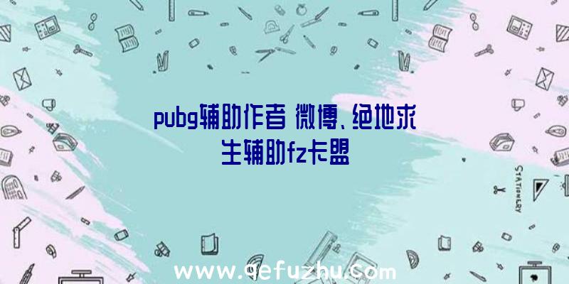 pubg辅助作者