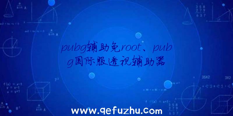 pubg辅助免root、pubg国际服透视辅助器