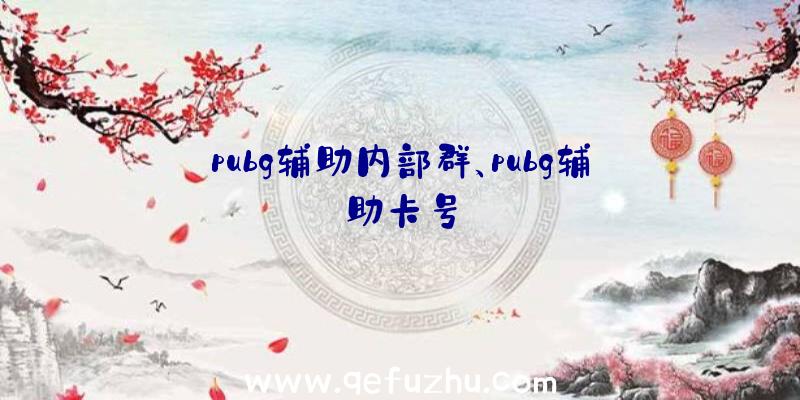 pubg辅助内部群、pubg辅助卡号