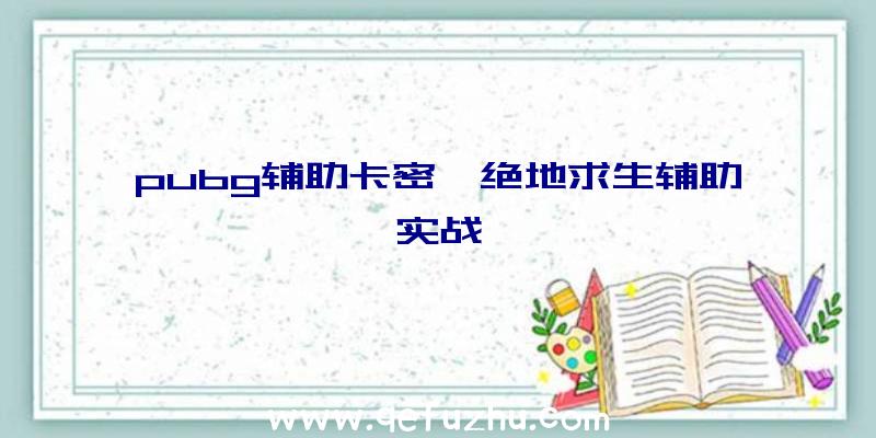 pubg辅助卡密、绝地求生辅助实战