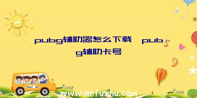 pubg辅助器怎么下载、pubg辅助卡号