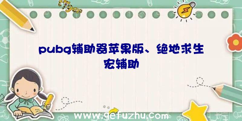 pubg辅助器苹果版、绝地求生宏辅助