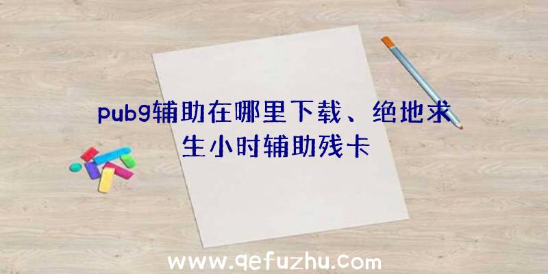 pubg辅助在哪里下载、绝地求生小时辅助残卡