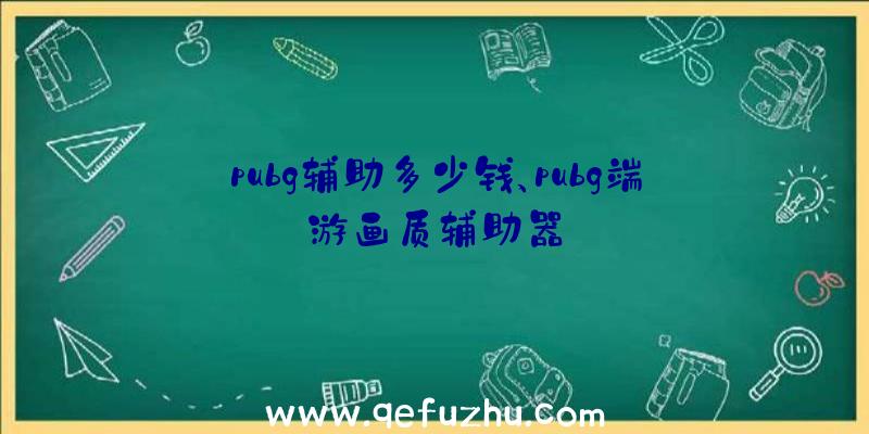 pubg辅助多少钱、pubg端游画质辅助器