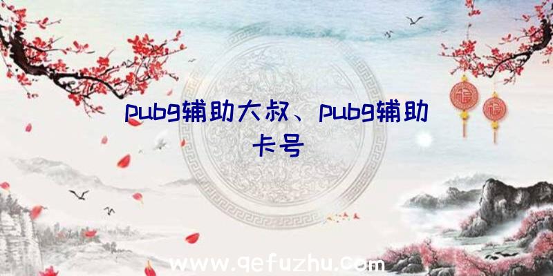 pubg辅助大叔、pubg辅助卡号