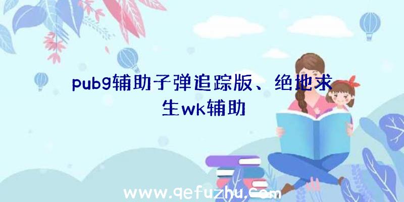 pubg辅助子弹追踪版、绝地求生wk辅助